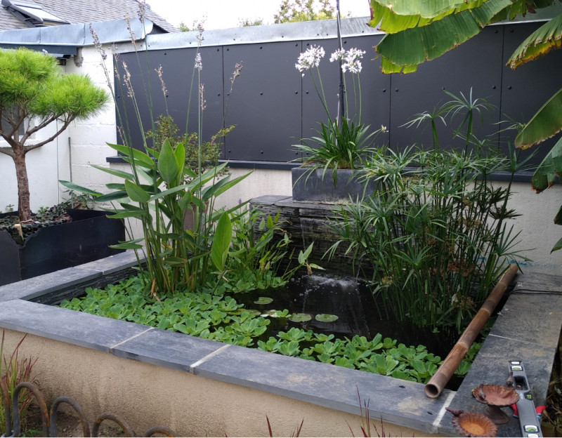 Plan de travail – 1