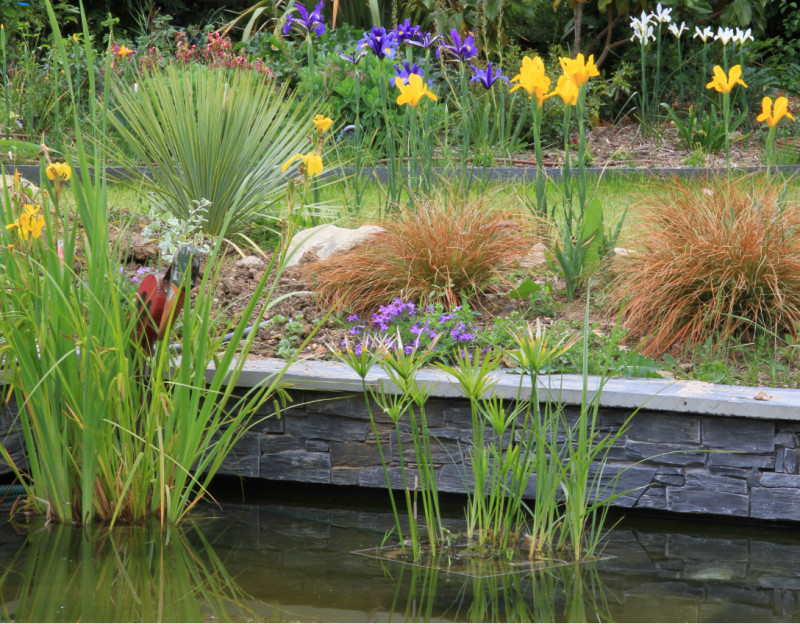 Plan de travail – 2