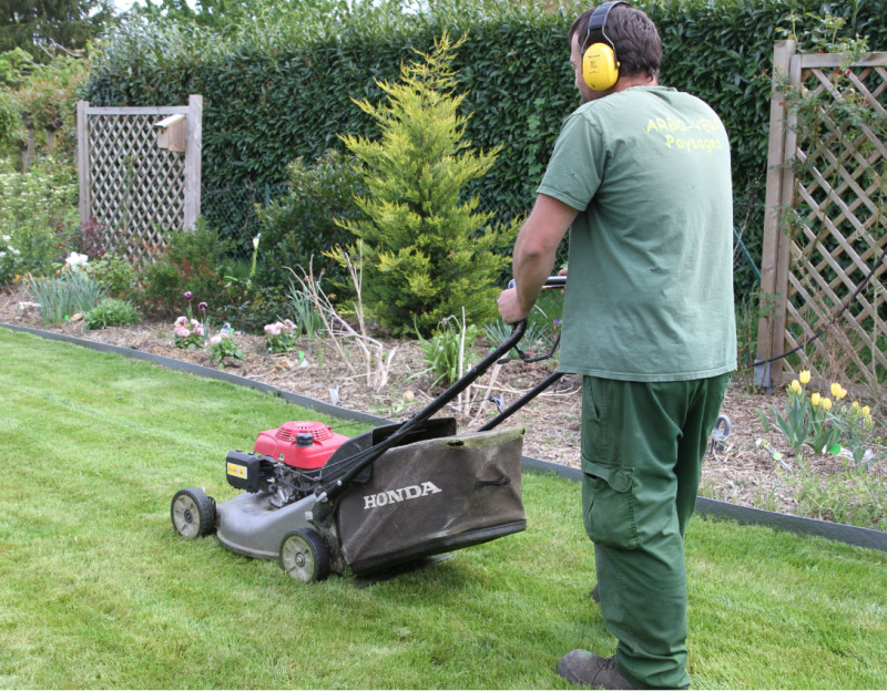 Plan de travail – 2