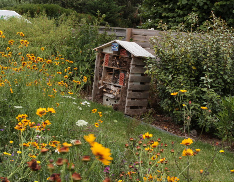 Hôtel à insectes