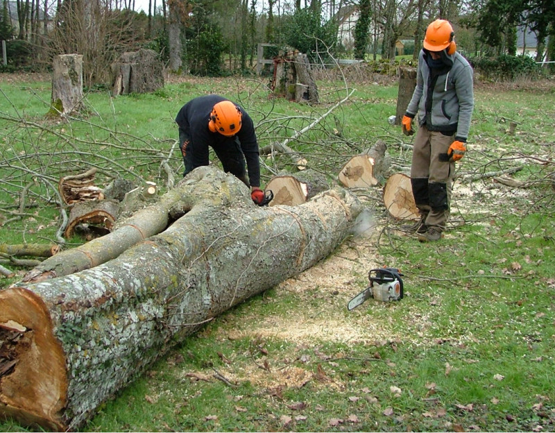 Plan de travail – 3